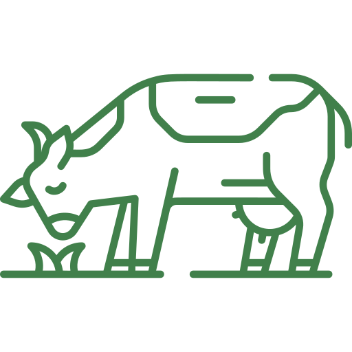 leche vaca leche vaca